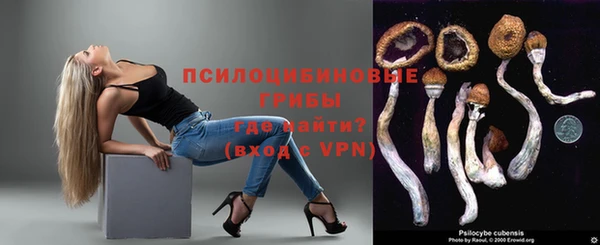 мдпв Богородицк