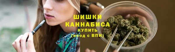 мдпв Богородицк