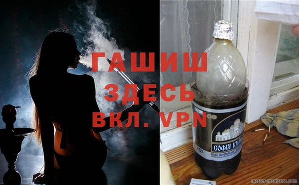 ешки Бородино