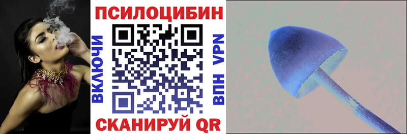 мега как зайти  Торопец  Галлюциногенные грибы MAGIC MUSHROOMS 